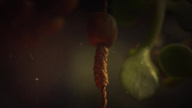 Tilt selective focus shot of a Saint Benedict rosary with the candle burning in the dark
