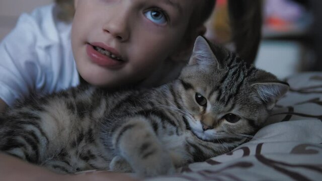 Two friends lying on bed. Girl and her domestic pet cat sleeping together