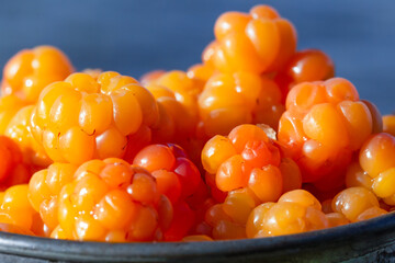 Cloudberries
