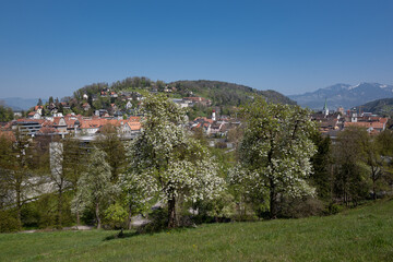 Blick auf Feldkirch - 465770401