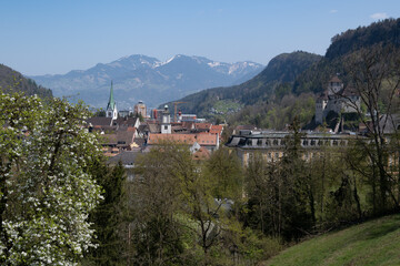 Blick auf Feldkirch - 465770419
