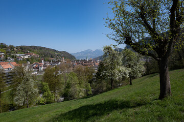 Blick auf Feldkirch - 465770433
