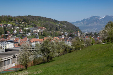 Blick auf Feldkirch - 465770485
