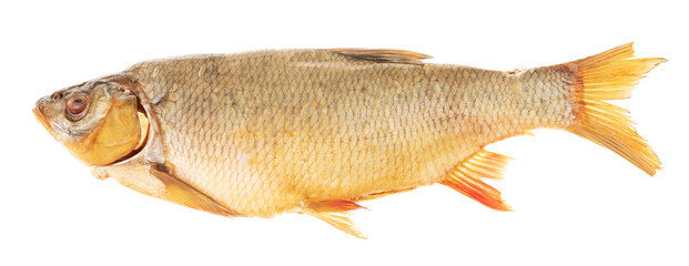 Dried fish isolated on white background. beer snack