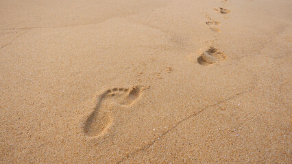 Fototapeta na wymiar Footprints in the sand at sunset