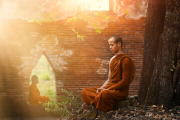 Buddhist monks meditate to calm the mind. The brain will refresh the secretion of Indoine. Make...