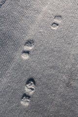 Footprints on freshly fallen crystal snow.