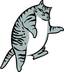 Cute tabby cat is lying. Body positive for people and animals. Favorite pet.