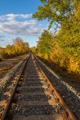 Obraz premium Old monorail train by the Hlohovec pond. There are trees around the track. The sky is blue with white clouds. The sun shines on the landscape.