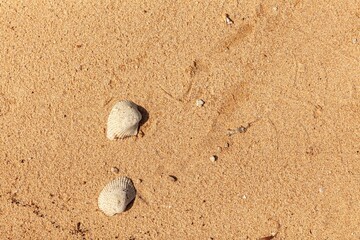 Sand texture. Sandy beach for background. Top view. Natural sand stone texture background. sand on the beach as background. Wavy sand background for summer designs