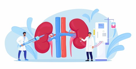 Hemodialysis for blood purification in chronic renal failure. Tiny doctors treat, test kidneys. Cleansing and transfusion of blood through dialysis machine. Physician conduct kidney treatment disease.