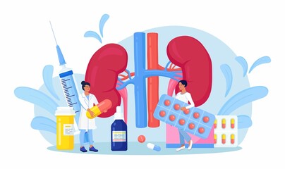 Tiny Doctors doing medical research, examination, check of health. Kidney disease treatment by pharmaceutical. Nephrology, urology. Diagnosis of Pyelonephritis, kidney stones, renal failure, cystitis.
