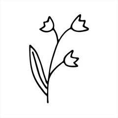 Painted Lily of the Valley flower, flower stem. Doodle style, black outline, lily of the Valley pattern, minimalism. Isolated. Vector illustration.