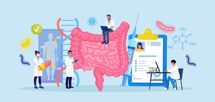 Tiny doctors examining gastrointestinal tract and digestive system. Diagnosis and treatment of the bowel. Intestinal inflammation, enteritis, colitis, dysbacteriosis. Vector illustration