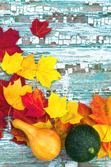 Autumn bright background with maple leaves and pumpkins on an old textured blue board, top view, copy space. Halloween holiday, thanksgiving background