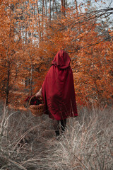Fairytale about red riding hood. Red riding hood in autumn forest