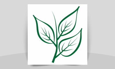 illustration of Green color leaf vector file