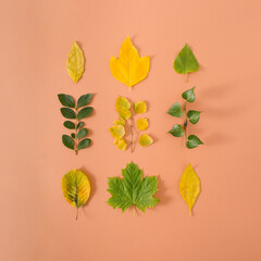 Obraz premium Square made of yellow and green autumn leaves on sandy pastel background. The Fall color palette. Flat lay composition.