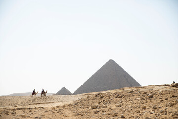camel riding at pyramids of giza - obrazy, fototapety, plakaty