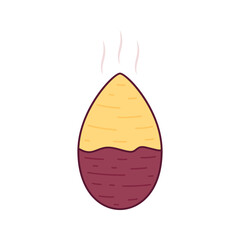 Roasted sweet potato. Sweet Potato vector.  Sweet Potato on white background.