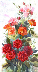 Fototapeta na wymiar Watercolor Rose summer flowers