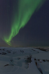 Fototapeta na wymiar At night in winter, the tundra and the aurora borealis.