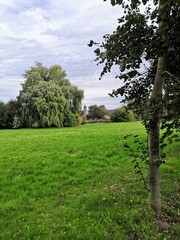 Der Schloßpark von Bendeleben im Kyffhäuserland