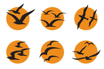 collection of icons with flying seagulls silhouettes against background of sun