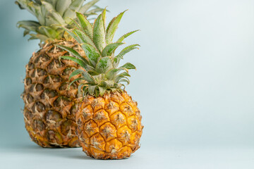 Tropical pineapples fruit on blue. Minamal, vitamin pineapple, vegan diet food. Pineapple creative concept. Large and mini pineapple.
