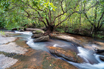 waterfall in the forest