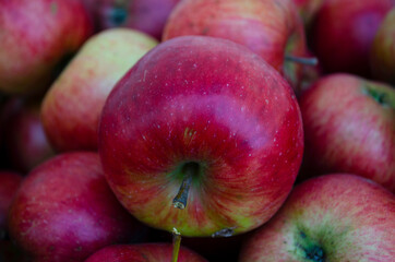 Fototapeta na wymiar Closeup shot of fresh red and yellow apples