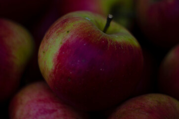 Closeup shot of fresh red and yellow apples