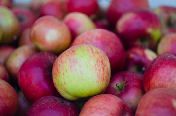 Closeup shot of fresh red and yellow apples