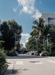 Naklejka premium miami design district city palms cars tropical 