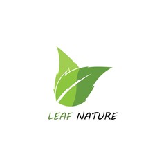 green leaf ecology nature element vector icon
