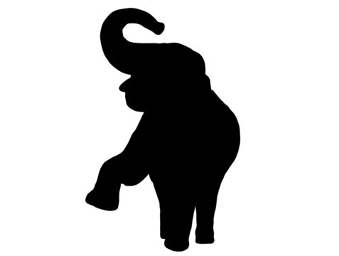 Elephant silhouette animal bsck and white Vector