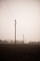 electric poles foggy day