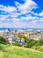 Fototapeta premium 郊外の住宅地 東京 