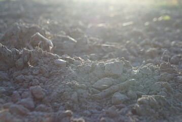 soil ground on the field in sunlight 