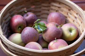 Apples in a basket