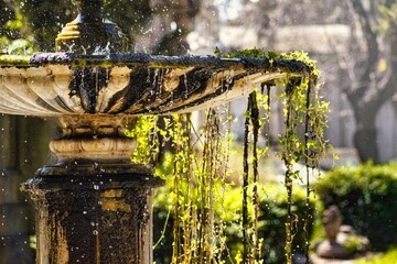 Fuente de agua con las gotas quietas mientras caen