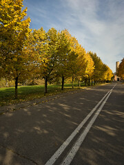 Droga przez park w sezonie jesiennym