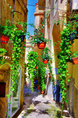 the historic center of Tropea Calabria Italy