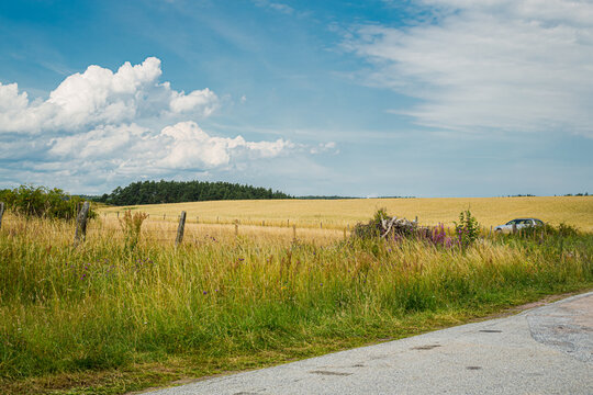 View of a Scanian field on &Ouml;sterlen, Sweden