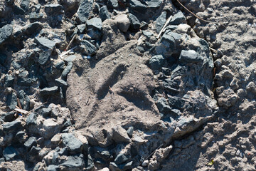 close up of rough terrain or pavement