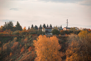 Naklejka premium House on the banks of the river in the trees