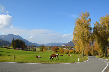 Herbstlandschaft am Wolfgangsee