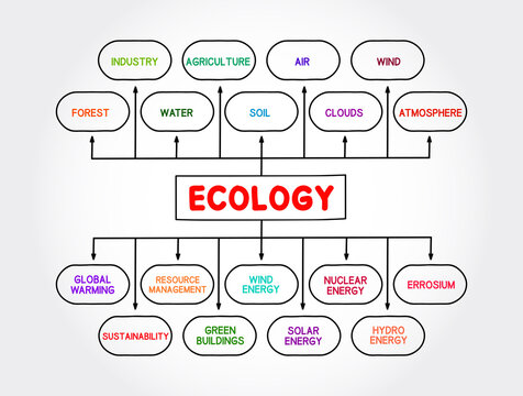Ecology mind map process concept for presentations and reports