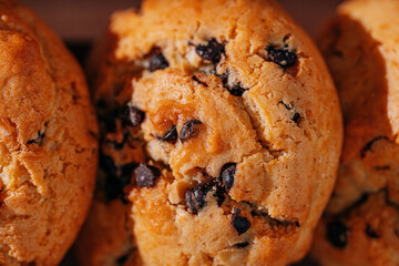 chocolate chip cookies close-up on brown background
