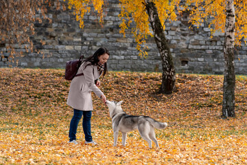 young woman training her husky dog in city park